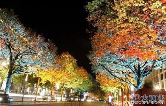 柏林菩提树下大街夜景