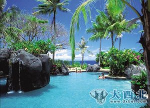 椰树、礁石环抱的泳池