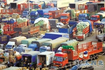 昨日，新发地批发市场内停放着大量运输蔬菜的卡车。 本报记者 王贵彬 摄