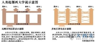 人类进化论两种观点示意图