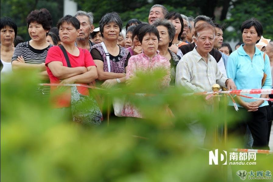 图为市民等候在围栏外看着场中数万盆杜鹃花跃跃欲试。