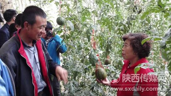 陕西省农业厅设施农业专家霍国琴不顾高原反应，放下行李就到农业园区做技术指导。