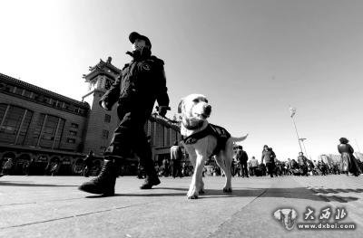 两会女子警犬队：狗闻到爆炸物会卧倒提示警员