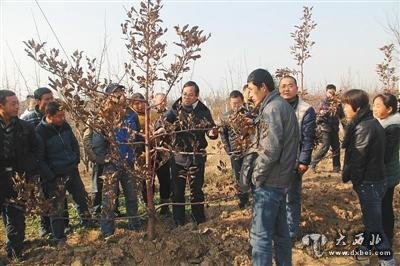 陕西20名职业农民被录取上大学 平均年龄近38岁