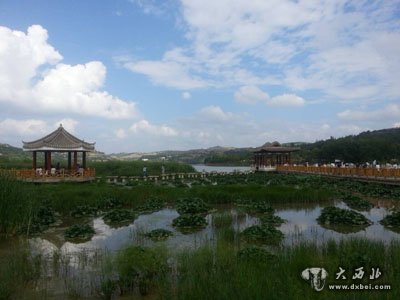 第八届陇南乞巧节的召开