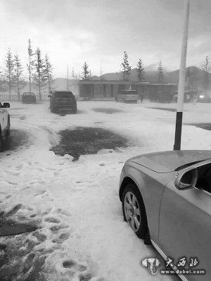 甘南多地遭受暴雨冰雹袭击