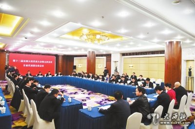 出席十二届全国人大五次会议的我省代表审议全国人大常委会工作报告