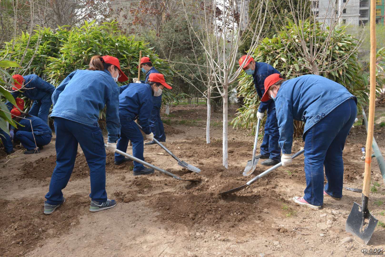 兰州石化三联公司团委